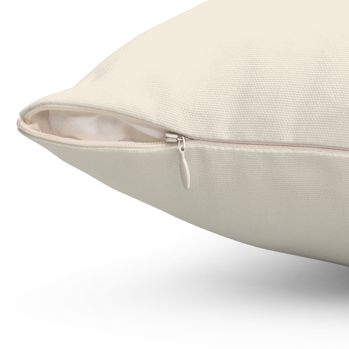 Book Dragon Throw Pillow
