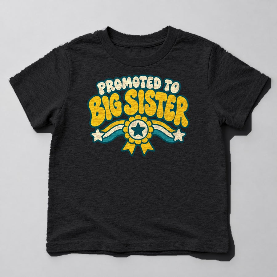 Promoted to Big Sister Kids T-Shirt in Black